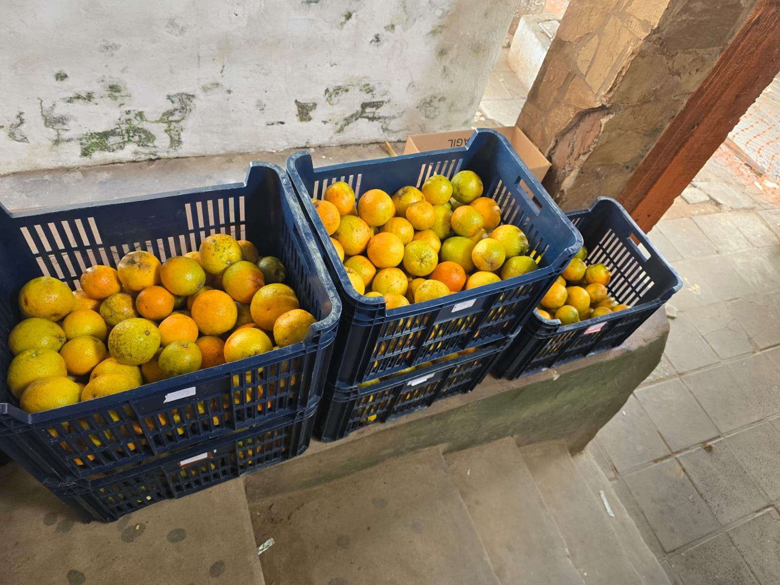 MDS intensifica verificaciones del servicio brindado en el Programa Hambre Cero